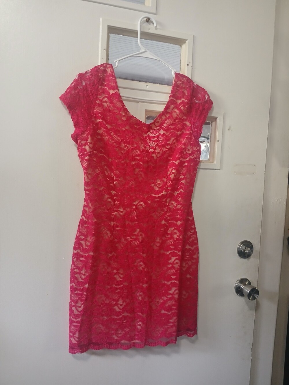 Women's Pink Lace Sheath Dress